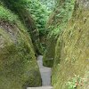 Meine Fotos-0003